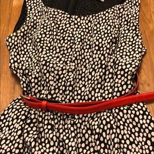 Ann Taylor Loft Black/white polka dot dress